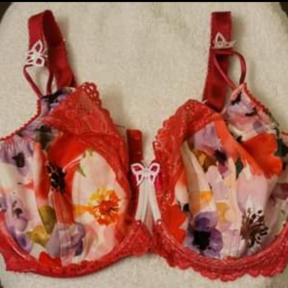85FF Ewa Michalak SF Motyl